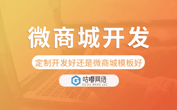微商城開(kāi)發(fā)選擇定制好還是微商城模板好.png