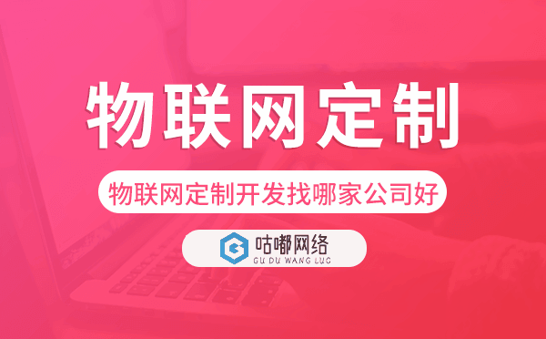 物聯(lián)網(wǎng)定制開發(fā)找哪家公司好,物聯(lián)網(wǎng)開發(fā).png