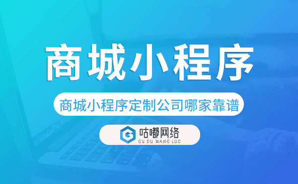 商城小程序定制公司哪家靠譜.png